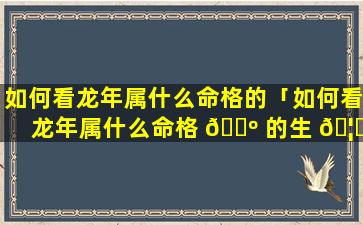 如何看龙年属什么命格的「如何看龙年属什么命格 🐺 的生 🦅 肖」